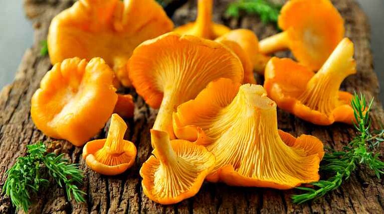 Pfifferlinge sind Pilze, die den Körper von Helminthen reinigen können.