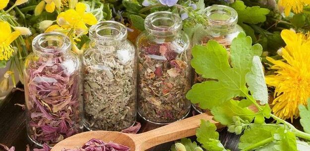 Kräuter zur Reinigung des Körpers von Parasiten.